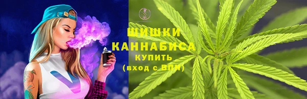 PSILOCYBIN Алзамай