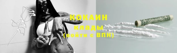 шишки Пересвет