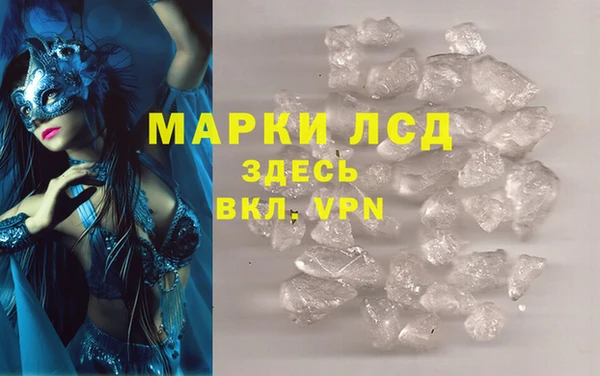 PSILOCYBIN Алзамай