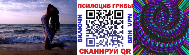 Галлюциногенные грибы GOLDEN TEACHER KRAKEN Кремёнки наркота